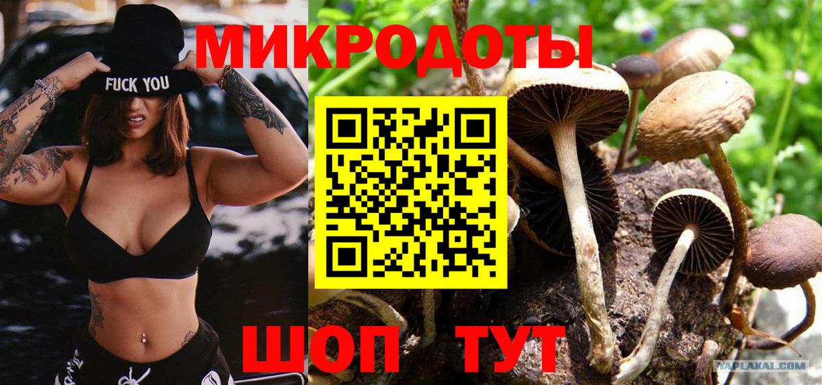 Знаменск  Псилоцибиновые грибы мицелий  Вход с VPN 