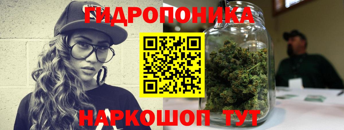 Бошки Шишки ГИДРОПОН  Вход с VPN  Знаменск  МАРИХУАНА конопля  Марихуана Bruce Banner 